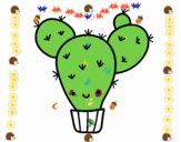 Cactus nopal