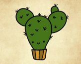 Cactus nopal