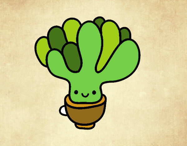 Cactus suculenta