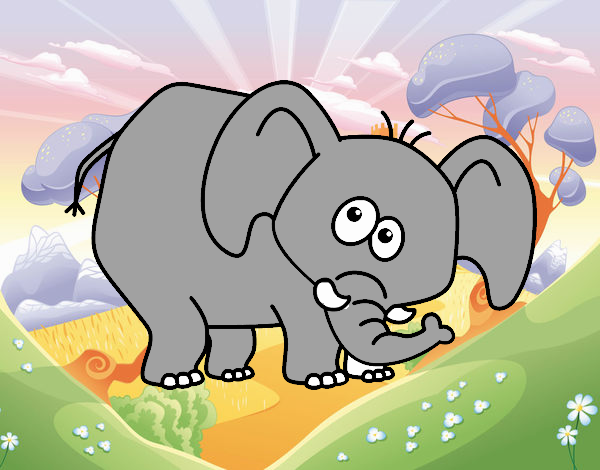 Elefante vergonzoso