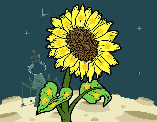 girasol espacial