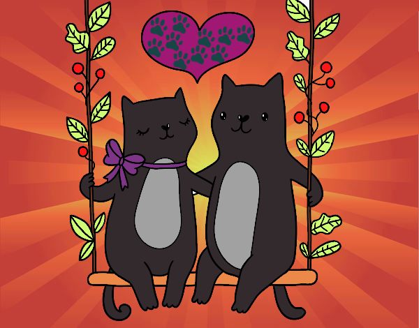 gatitos enamorados