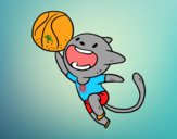 Gato jugando a baloncesto