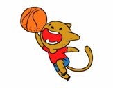 Gato jugando a baloncesto