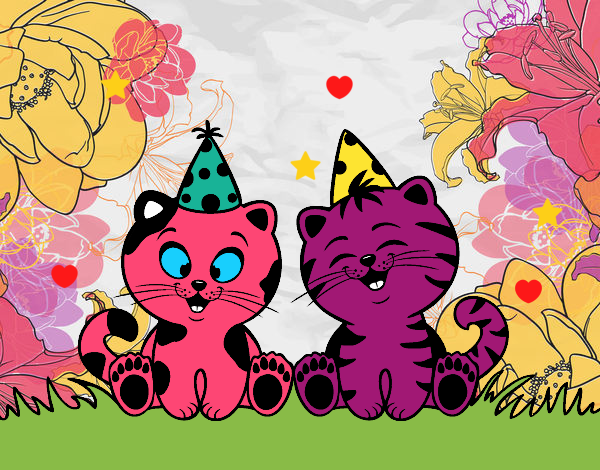 Gatos de cumpleaños