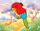 Guacamayo