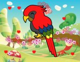 Guacamayo