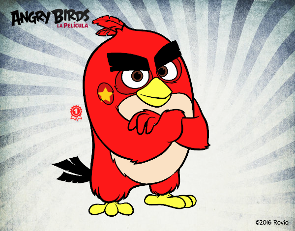 red de angry birds