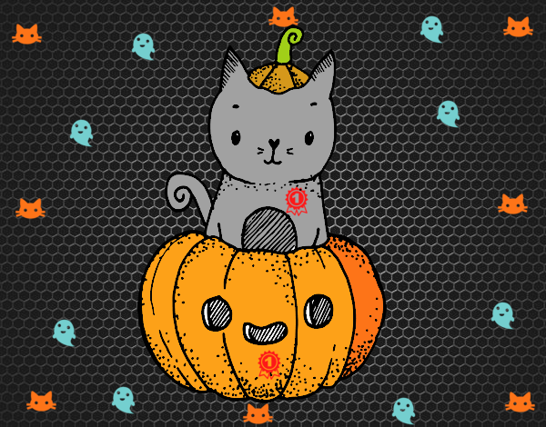 Un gatito de Halloween