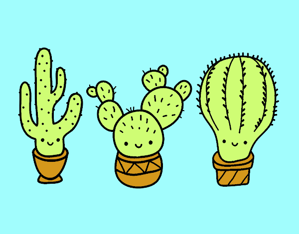 3 mini cactus