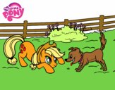 Applejack y Winona