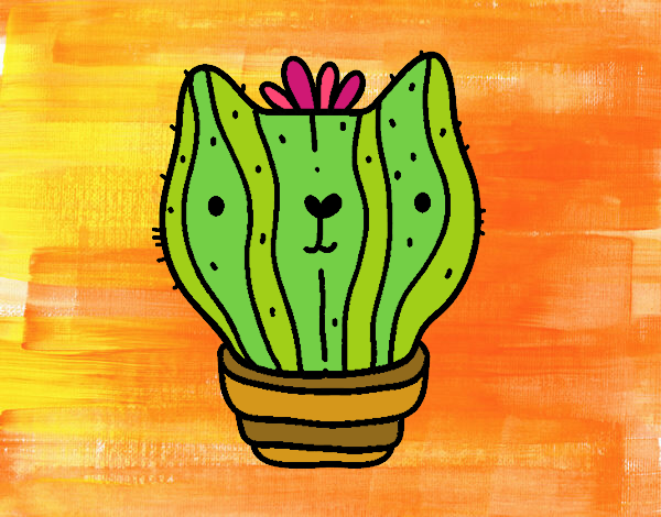 Cactus gato