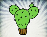 Cactus nopal