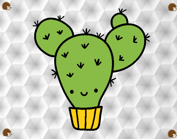 Cactus nopal