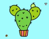 Cactus nopal