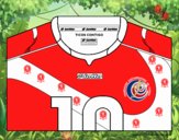 Camiseta del mundial de fútbol 2014 de Costa Rica