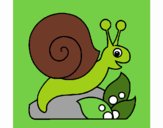 Caracol