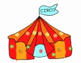 Circo