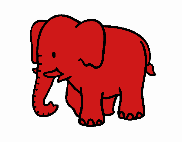 Elefante bebe