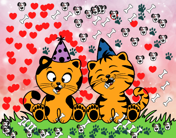 Gatos de cumpleaños