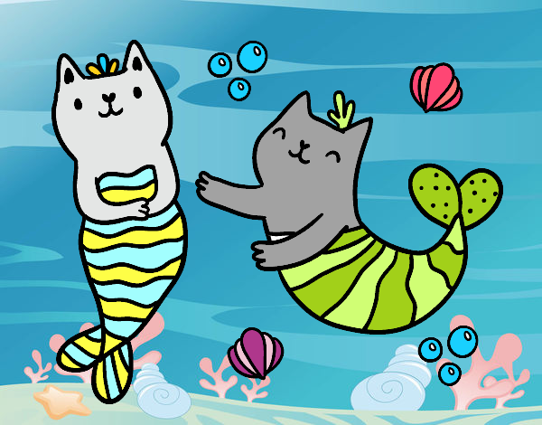 gatitos acuaticos 