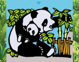 Mama panda