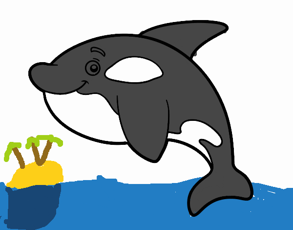 Orca joven