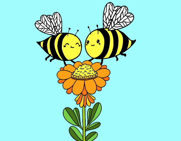 Pareja de abejas