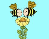 Pareja de abejas