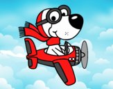 Perro piloto