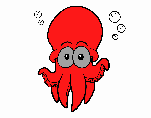 Pulpo rojo