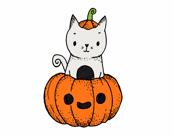 Un gatito de Halloween