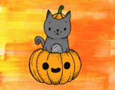 Un gatito de Halloween