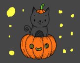 Un gatito de Halloween