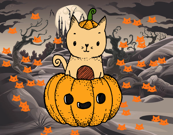 Un gatito de Halloween