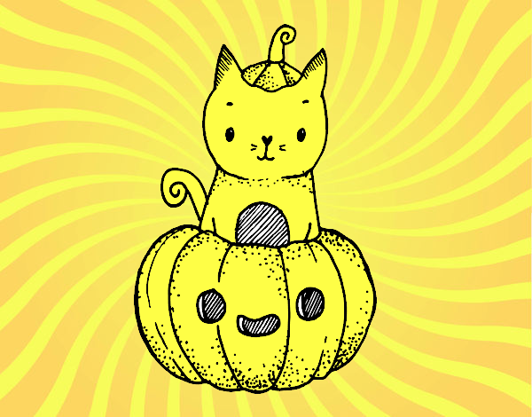 Un gatito de Halloween