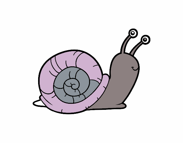 El caracol