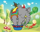 Elefante y mono de circo