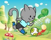 Gato jugando a fútbol