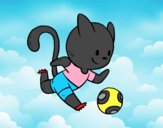 Gato jugando a fútbol