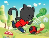 Gato jugando a fútbol