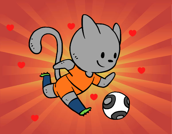 Gato jugando a fútbol