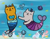 Gatos sirena