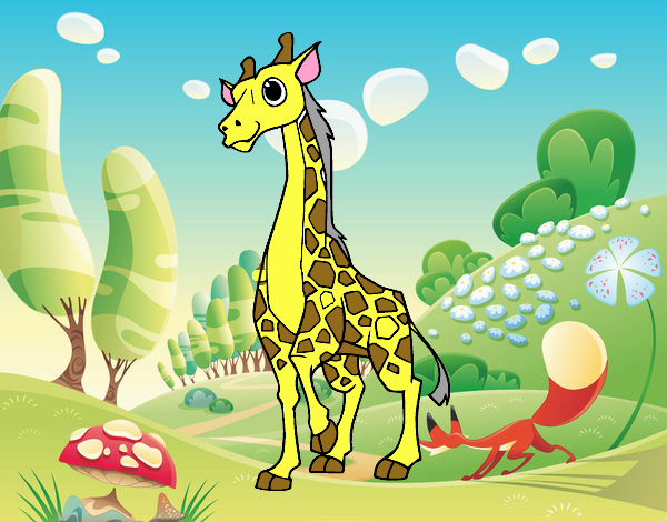 girafi