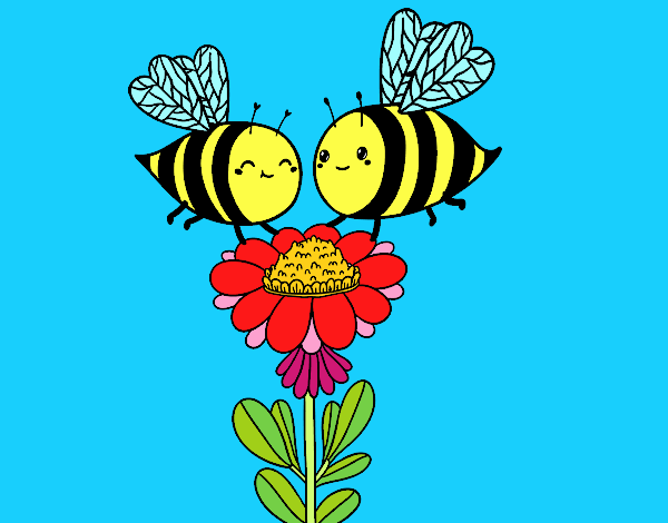 Pareja de abejas