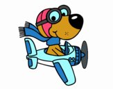 Perro piloto