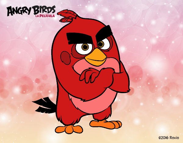 Red de Angry Birds