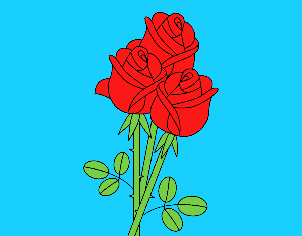 Red roses