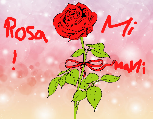 Una rosa