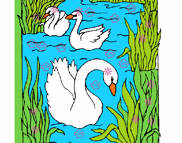 Dibujo de Cisnes pintado por en  el día 07-10-21 a las 14:32:53.  Imprime, pinta o colorea tus propios dibujos!